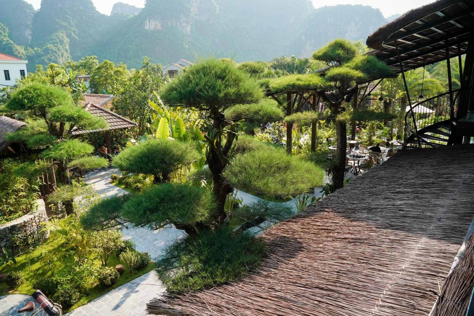 Tam Coc Retreat Ninh Binh Hotel Exterior photo
